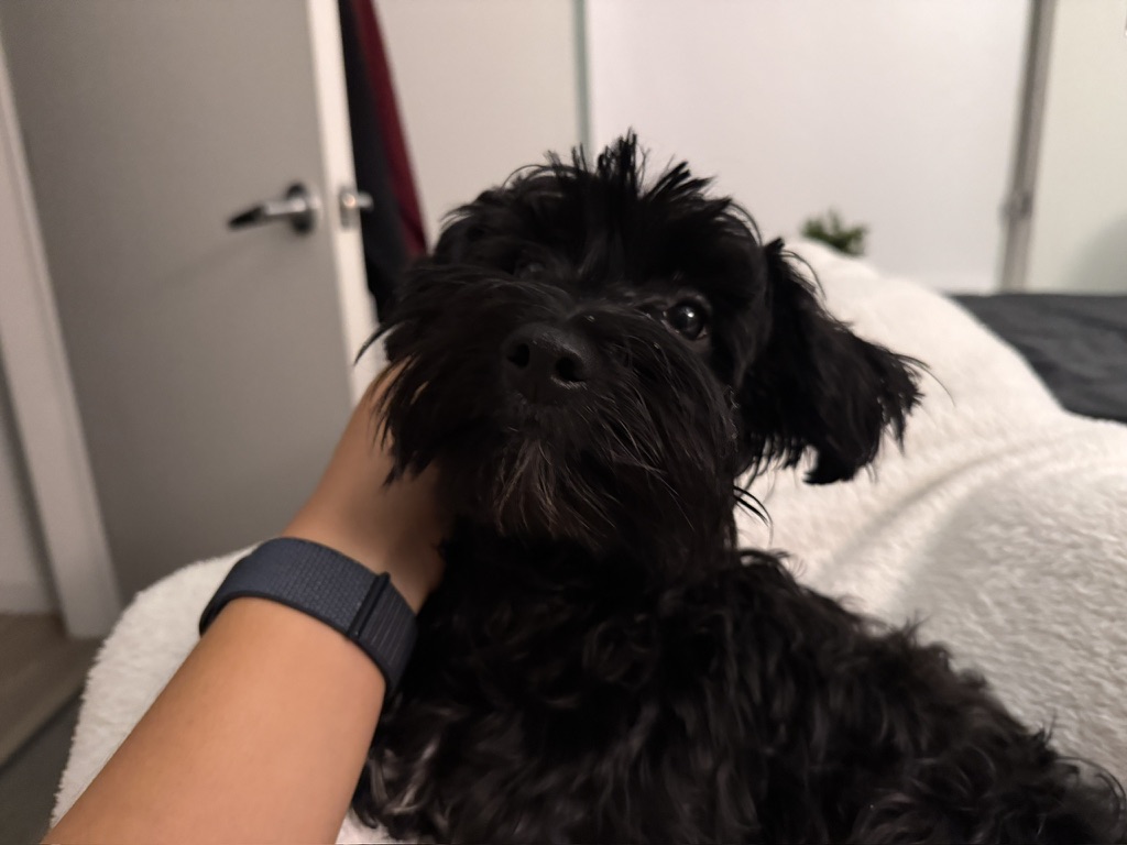 Me and my doggo, Osito!